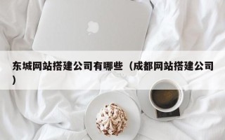 信阳东城网站搭建公司有哪些（成都网站搭建公司）